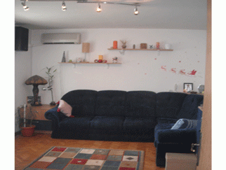 Vanzare apartament 3 camere Dristor zona Parc Ior si Complex Ambrozie