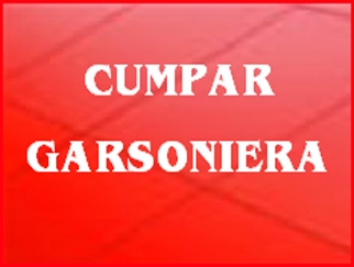 Dorim garsoniere in zonele  Calea Crangasi, Vintila Mihailescu, Ceahlau, Porumbacu