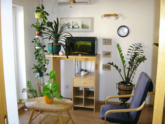 Inchiriere apartament 2 camere Gara De Nord