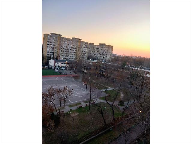 17_591.jpg
