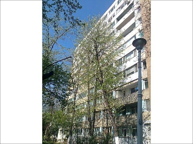 Inchiriere apartament Piata Sudului Alexandru Obregia zona Cultural