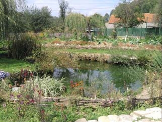 Vanzare teren Valea Prahovei