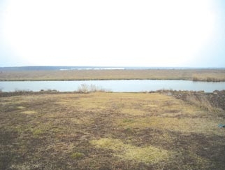 Terenuri de vanzare zona Crevedia Lac