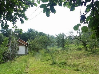 Proprietar vand teren in Poiana Campina