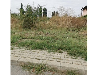 Proprietar vand teren intravilan in Strada Castanilor, Chitila Ilfov