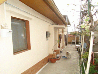 Vanzare casa GHICA TEI