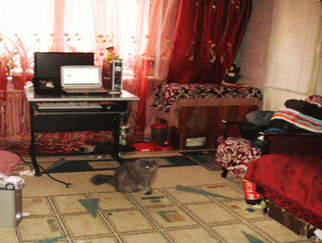 Vanzare apartament 3 camere Dristor Laborator