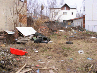 VANZARE teren DAMAROAIA