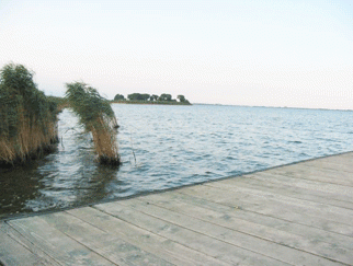 Vanzare vila Constanta