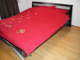 Vanzare vila Sanpetru judetul Brasov