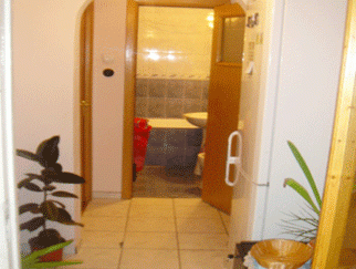 VANZARE apartament 2 camere BERCENI zona Straja